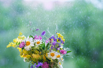 colorful meadow flowers close up in rainy weather, natural abstract background. summer season....