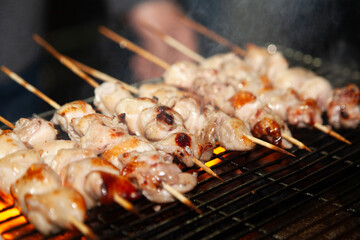 View of the chicken skewers on the grill