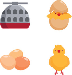 A graphic set depicting stages from eggs to a fully grown chicken