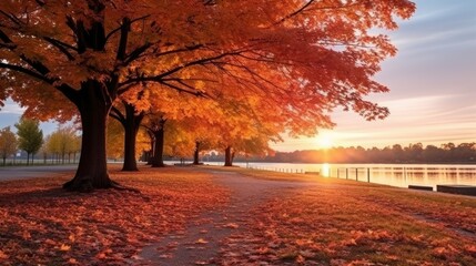 Beautiful autumn landscape with. Colorful foliage in the park