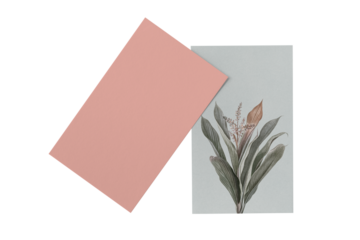 Name cards mockup set transparent png