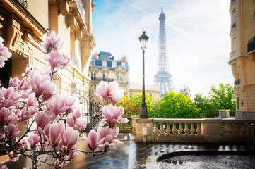 cosy Paris street with view on the famous Eiffel Tower on a cloudy spring day with flowers, Paris France