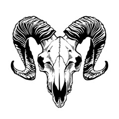 Stylized goat skull. Vector contour drawing