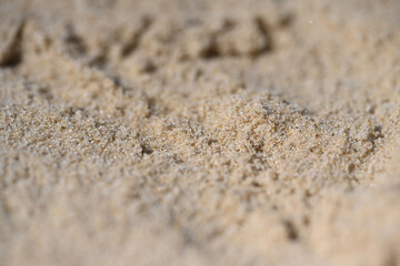 grains of sand on a beach close-up