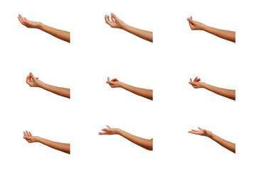 Collection of hands in various poses on a white background