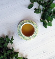 Zielona herbata w filiżance na zielonym talerzyku, stojąca na białym stole kuchennym w otoczeniu gałązek świeżych ziół. © KJP Photography