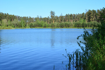 a lake with a blue water and pine trees in the background