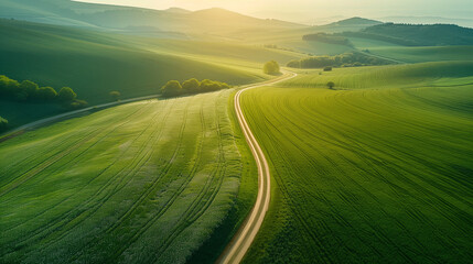 Aerial view of a curving road winding through a vast green field under a bright morning sky. - Powered by Adobe