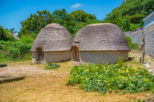 View of thatched roof houses in traditional Zulu village, Veyane Cultural Village, Khula, Khula Village, KwaZulu-Natal Province, South Africa
