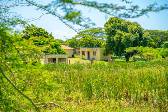 View of colourful houses in traditional Zulu village, Veyane Cultural Village, Khula, Khula Village, KwaZulu-Natal Province, South Africa