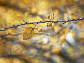 branch background with a bokeh effect, a branch with a few golden autumns leaves background, filled with golden-yellow bokeh circles, enhancing the autumn feel and creating a warm, glowing atmosphere