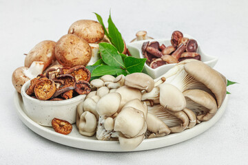 Assortment of various mushrooms - fresh, dried and pickled. Oyster, cremini, porcini and shiitake
