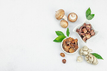Assortment of various mushrooms - fresh, dried and pickled. Oyster, cremini, porcini and shiitake