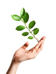 Sustainable and Eco-Friendly Nail Salon with Thriving Plant in Hand