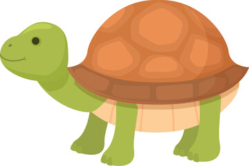 Adorable cartoon turtle illustration with a friendly smiling character, isolated on a white background