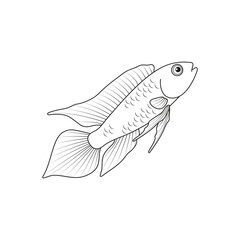 Aquarium fish. Vector black and white image. Coloring.