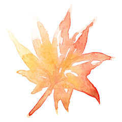 Maple png leaf autumn watercolor in orange seasonal graphic