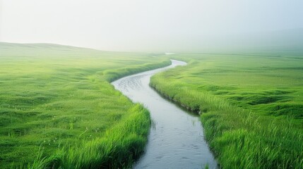 Fototapeta premium Morning landscape, a vast meadow with calm river among lush grass