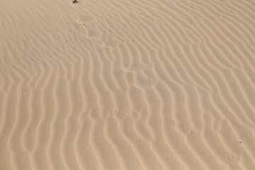 sand dune ripples in the desert