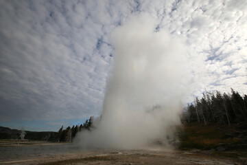 Geysers in Yellowstone National Park, United States