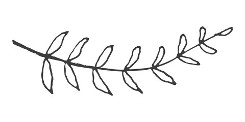 Leaf branch png sticker, transparent background