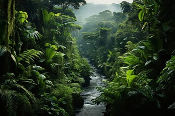 Fototapeta premium View of the dense Amazon rainforest and bright green foliage from above.