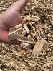 wooden chips after tree stump grinding
