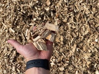 wooden chips after tree stump grinding