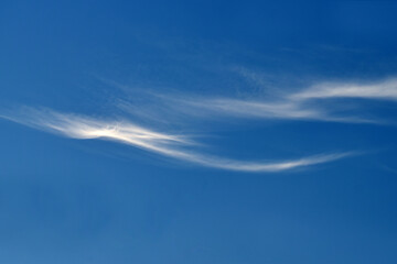 Light and fluffy clouds in the blue sky