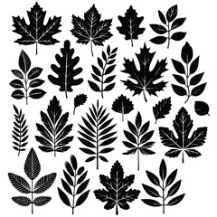 vector black leaf inked silhouettes set. vector isolated illustration of different leaves