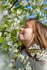 Fototapeta premium portrait of a nine year old girl stands near the blossoming cherries and enjoys their smell in early spring on a sunny day