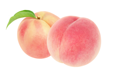 桃のイラスト リアル 白バック