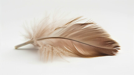 A vibrant yellow feather standing out against a clean white background.