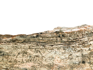 wood texture isolated background