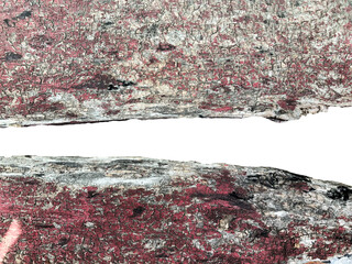 Fototapeta premium The bark texture is split with a space in the middle