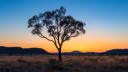 Obraz premium sunset in the mountains in australia and gumtree 