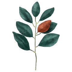 Magnolia leaf sticker png botanical drawing clipart