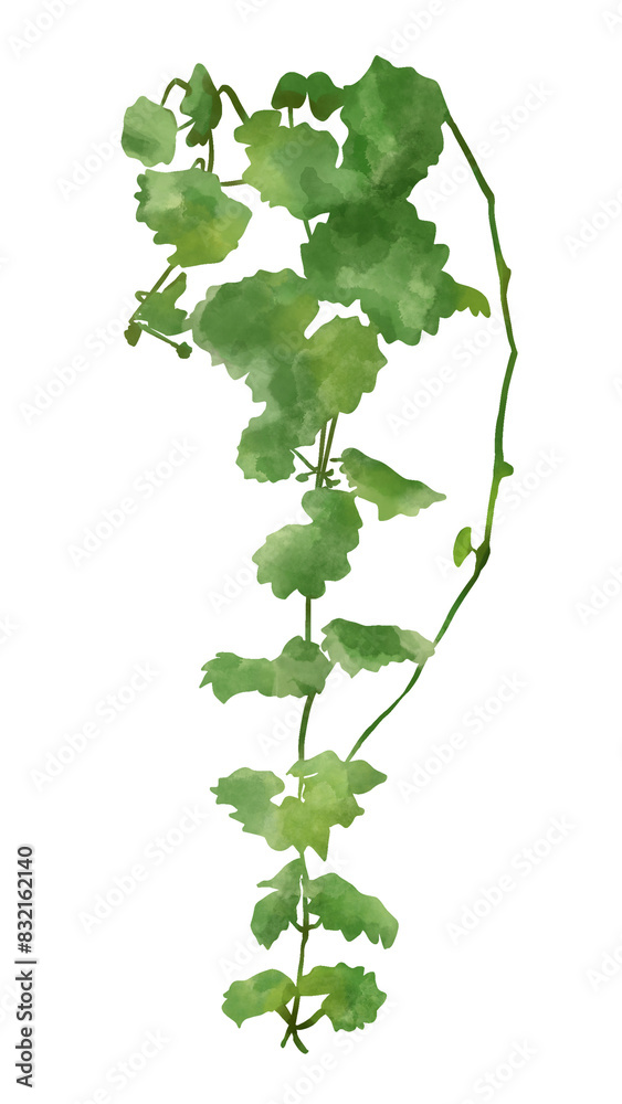 Poster Png plant leaf design element