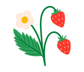 Strawberry with leaves and flowers. Juicy summer berries. Flat Vector illustration isolated on white background
