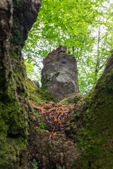 stone wall