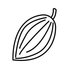 Cocoa fruit icon in flat line style.