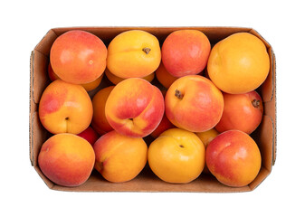 Fresh apricots in a cardboard punnet. Stone fruits of Prunus armeniaca, similar to a small peach. Yellow fruits, tinged red on the side most exposed to sun, with smooth surface, sweet to tart taste.