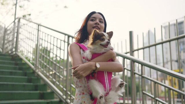 4K Happy Asian woman holding chihuahua dog in dog carrier backpack walking in the city. Domestic dog and human owner dog moms enjoy urban outdoor lifestyle travel together on summer holiday vacation.