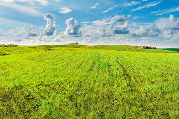 panoramic farmland landscape with green spring field , salad and yellow hills, garden and grassland...
