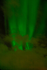 Polar lights, Aurora borealis in green over mountains, Norway