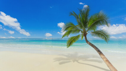 Beautiful sea Coconut trees Outdoor ocean summer landscape.