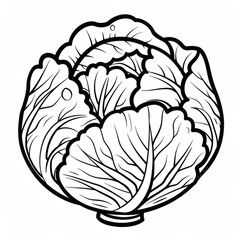 Outline drawing of a cabbage, ideal for coloring books, educational tools, and artistic projects.