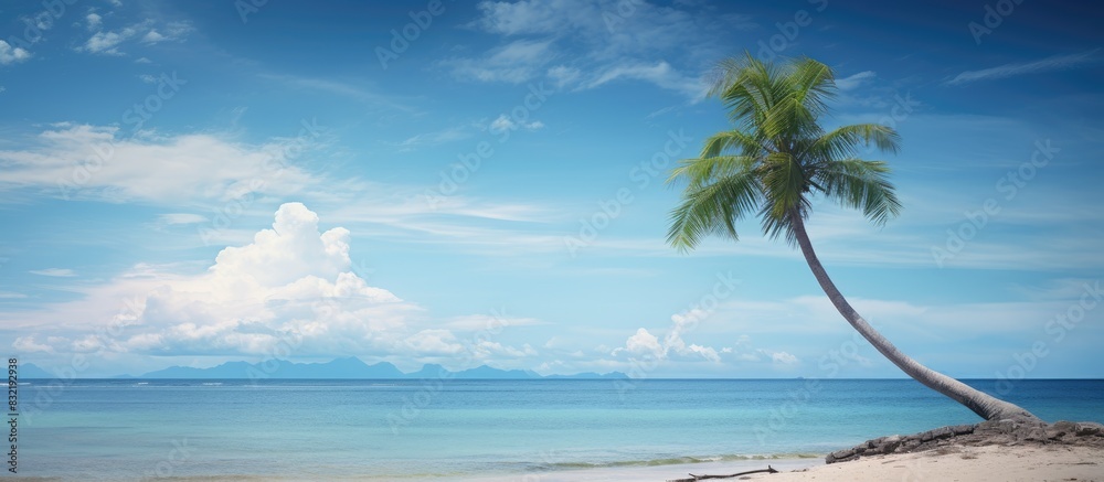 Aufkleber coconut tree with tropical beach with cloudy times. creative banner. copyspace image