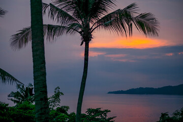 A serene sunset over the ocean framed by silhouetted palm trees under a dusk sky.