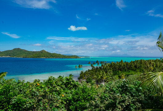 A stunning vista of a tropical beach with lush greenery leading to a clear blue sea and a cloud-flecked sky above. An island looms in the distance, completing the serene landscape.
